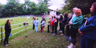 formation professionnelle equicoachong lyon confiance en soi et affirmation personnelle