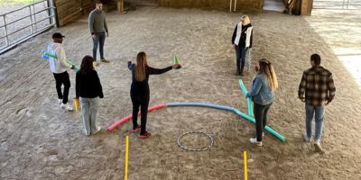 formation professionnelle lyon Créativité & Innovation Libérer son potentiel par l’équicoaching