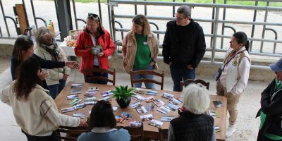 formation professionnelle lyon Créativité & Innovation Libérer son potentiel par l’équicoaching