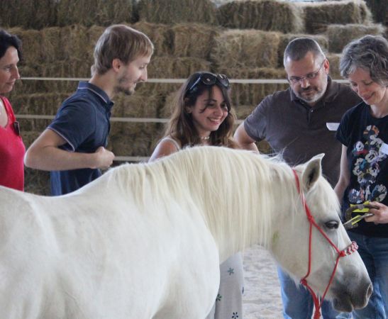 formation professionnelle lyon financable opco teambuilding cohésion d’équipe et coopération