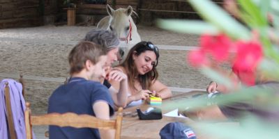 agilite collective formation professionelle