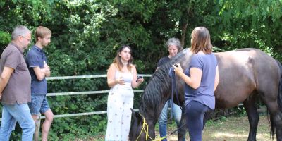 formation professionnelle agilite collective