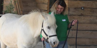 formation professionnelle equicoachong lyon confiance en soi et affirmation personnelle