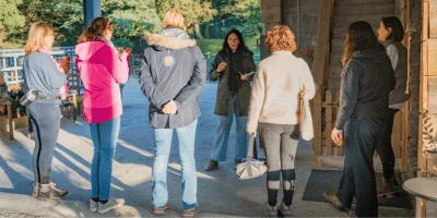 devenir equicoach parcours de formation a qui sadresse la formation equicoaching