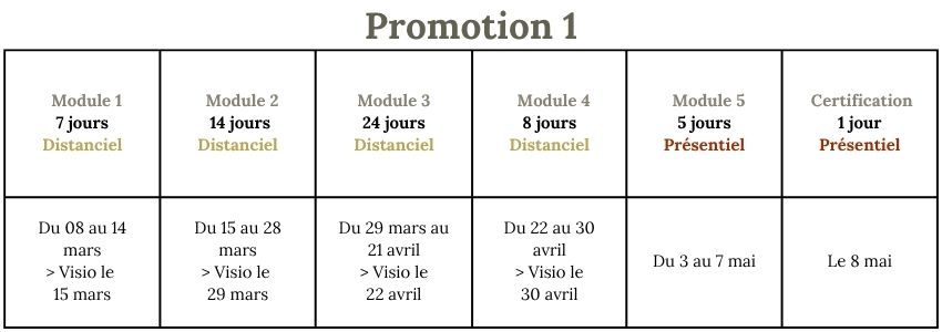 Planning-Formation-zoothérapie-médiation-praticien-animal